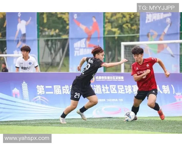 湖州足球野球球星崛起 逐梦赛场展现实力与风采